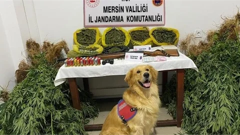 Jandarma; Uyuşturu İmalatcılarına Nefes Aldırmıyor