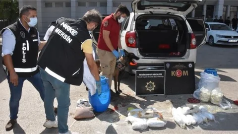 Salça Kokusu Brego’yu Yanıltmadı