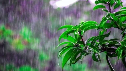 Doğu Akdeniz’de Gök Gürültülü Sağanak Yağışlara Dikkat!