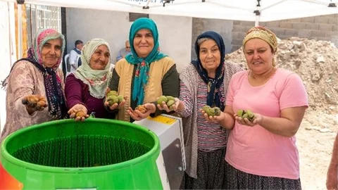 Cevizleri Makine Soyuyor, Üretici Rahatına Bakıyor