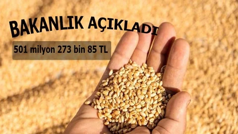 709 Milyon 78 Bin 736 TL'lik Destekleme Ödemesi Bugün Çiftçilerin Hesaplarına Aktarılacak
