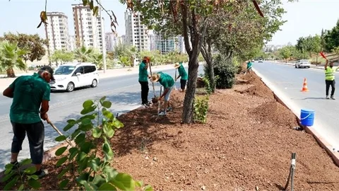 Mersin Büyükşehir Belediyesi’nden Kapsamlı Refüj Yenileme Çalışması