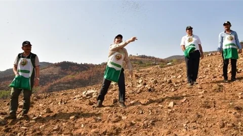 Vali Ali Hamza Pehlivan, Orman Yangınında Zarar Gören Alanlarda Fidan Ekimi Etkinliğine Katıldı