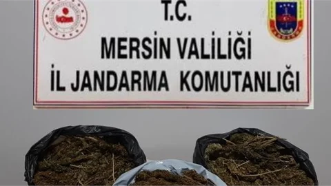 Mersin'de Uyuşturucu Operasyonu