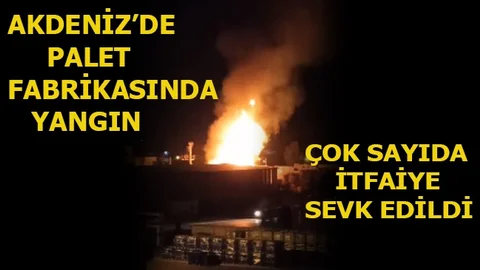 Mersin Akdeniz'de Palet Fabrikasında Yangını