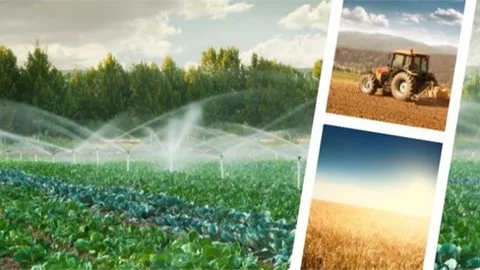 Yaklaşık 513 Milyon Liralık Tarımsal Destekleme Ödemeleri Çiftçilerimizin Hesaplarına Aktarılacak