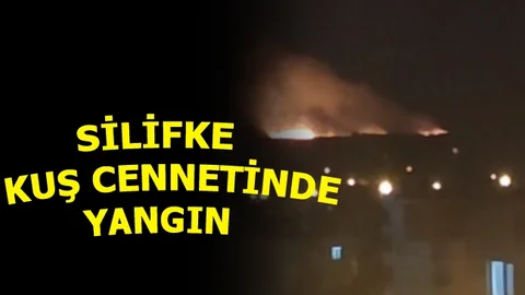 Kuş Cenneti Yanıyor!