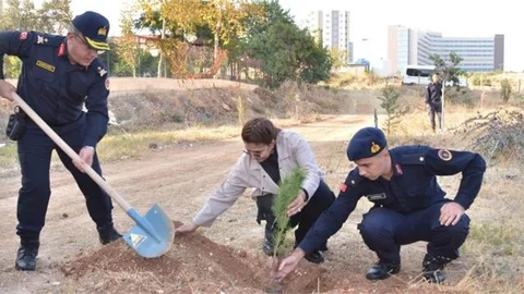 Milli Ağaçlandırma Gününde Fidanlar Toprakla Buluştu