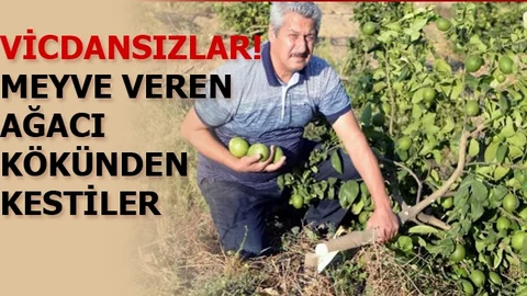 Mezitli'de Akıl Almaz Olay