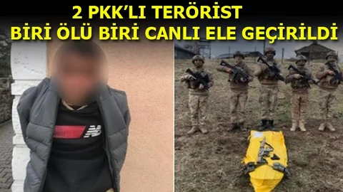 İran'dan Türkiye'ye Giren 2 PKK'lı Terörist Yakalandı