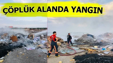 Tırmıl Civarında Yangın, Ekipler Müdahale Etti