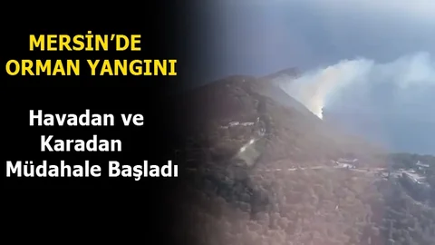 Mersi Anamur'da Orman Yangını, Havadan ve Karadan Müdahale Başladı