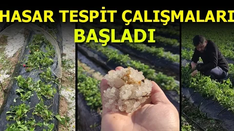 Hasar Tespit Çalışmaları Başladı