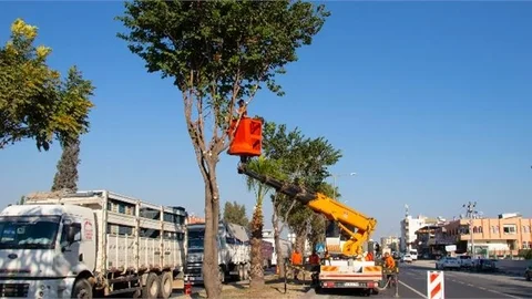 Temiz ve Yeşil Bir Mersin İçin Çalışıyoruz