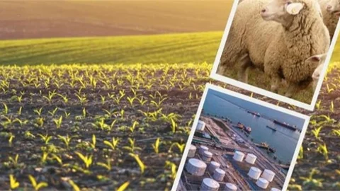 Destekleme Ödemeleri Bugün Hesaplarda