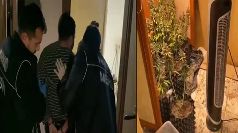Mersin Polisi Uyuşturucunun Kökünü Kurutuyor