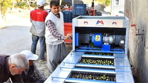 Mersin Büyükşehir Belediyesi Sayesinde Zeytin Zahmetine Son