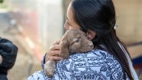 Patili Dostlara Ziyaret