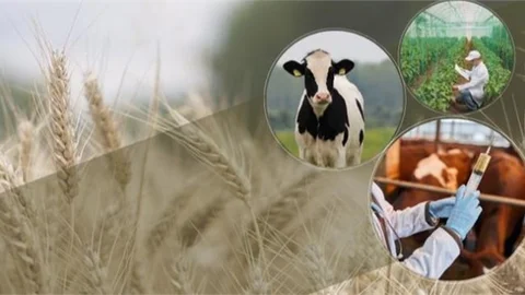 Tarımsal Destek Ödemesini Bugün Çiftçilerimizin Hesaplarına Aktarılıyor