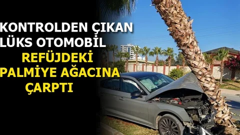 Kontrolden Çıkan Lüks Otomobil Akan Trafikte Rejüjdeki Ağaca Çarptı