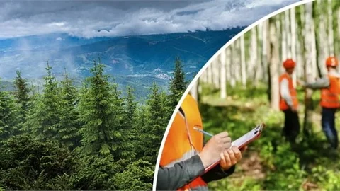 Orman Genel Müdürlüğü Bin 613 Personel İstihdam Edecek