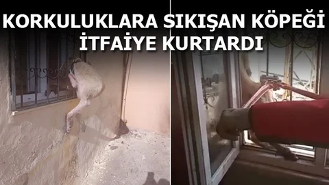 Pencere Korkuluklarına Sıkışan Köpeğin İmdadına İtfaiye Yetişti