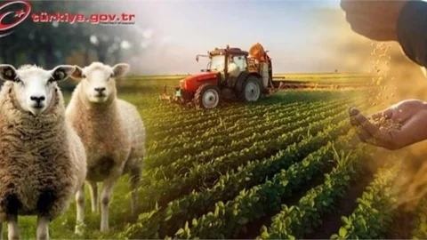 Çks Başvuruları 31 Aralık'ta Sona Erecek