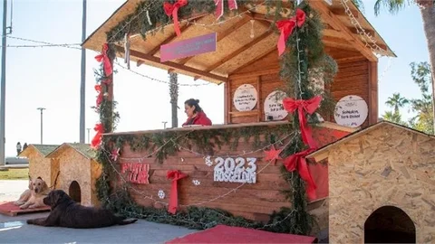 Mersin Büyükşehir'in Sahiplendirme Standı ‘yılbaşı Pazarı’nda