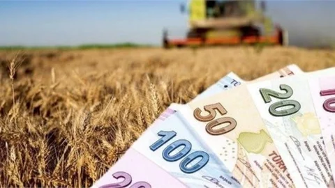 79 Milyon Liralık Destekleme Ödemesi Bugün Hesaplara Aktarılacak