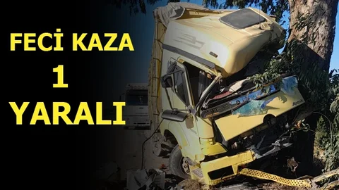 Tarsus'ta Feci Trafik Kazası, Kamyon Ağaca Çarptı