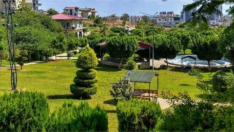Tüm Çabalar Yeşil Bir Mersin İçin