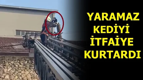 İtfaiyeden Kedi Kurtarma Operasyonu