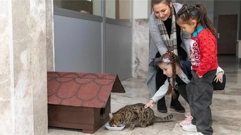 Minik Ela’ya ‘kedi Evi’ Sürprizi