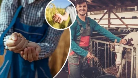 Hibe Desteği 250 Bin Liraya Çıkarıldı