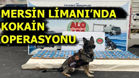 Mersin Limanında Kokain Ele Geçirildi