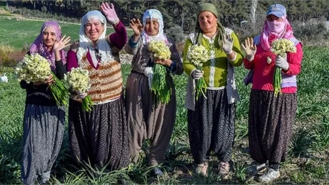 Mersin Büyükşehir’den Nergis Şenliği