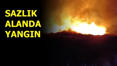 Sazlık Alanda Yangın!