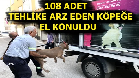 "Haydi" Polisi Denetimlerine Devam Ediyor