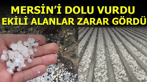 Mersin'de Dolu Yağışı