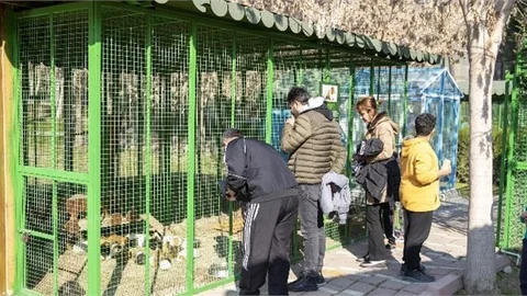Yarıyıl Tatilinde Tarsus Doğa Parkı’na Yoğun İlgi