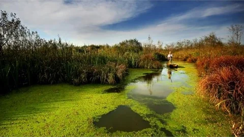 Korunan Alanlarda Ziyaretçi Akını