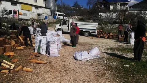 Depremzedeler İçin Yakacak Hazırladılar