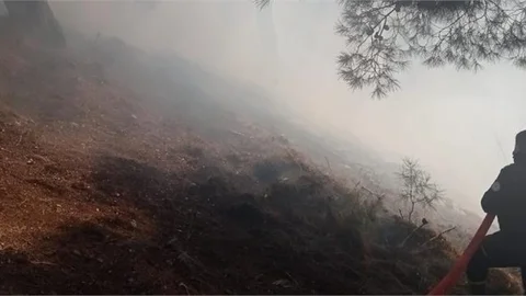 Tarsus'ta Orman Yangını