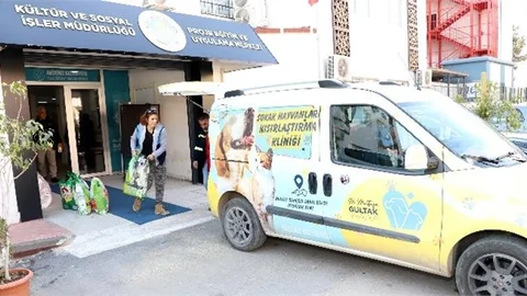 Tedavileri Yapılıp Sahiplendiriliyor, Bölgeye Mama, Yem ve Battaniye Ulaştırılıyor