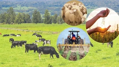 49 Milyon 411 Bin Liralık Destekleme Ödemesi Bugün Hesaplara Aktarılacak