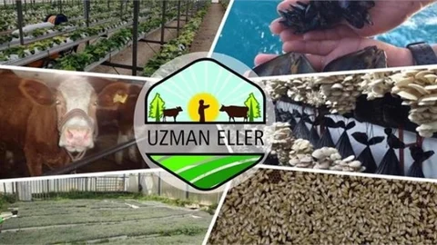 Uzman Eller Projeleri İçin Başvurular Başladı