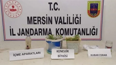 Jandarmadan Uyuşturucu Operasyonu