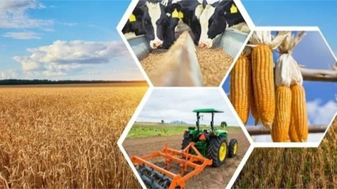 Afet Bölgesi İllerdeki Yetiştiricilere 1 Milyar 364 Milyon 608 Bin 700 TL Yem Desteği