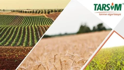 2023 Yılında Devlet Tarafından Taahhüt Edilecek Hasar Fazlası Desteğine İlişkin Cumhurbaşkanı Kararı Yayımlandı