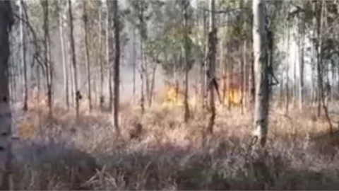 Mersin'de Orman Yangını